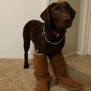 Meet your Posher, Ted